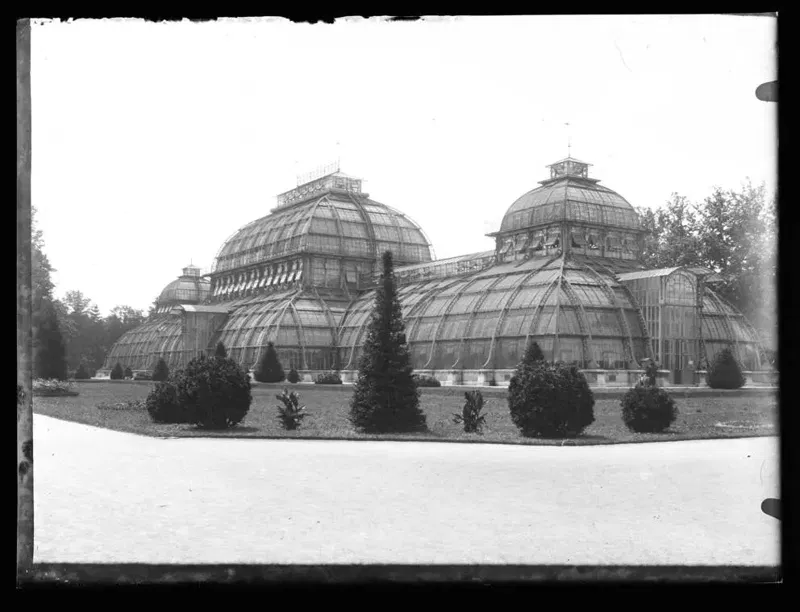Palmenhaus Schönbrunn: Das Glashaus, das zweimal zusperren musste