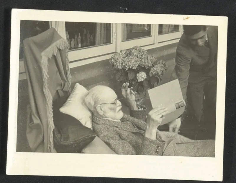 Sigmund Freud in Wien: 47 Jahre Berggasse 19 und der Abschied im Juni 1938