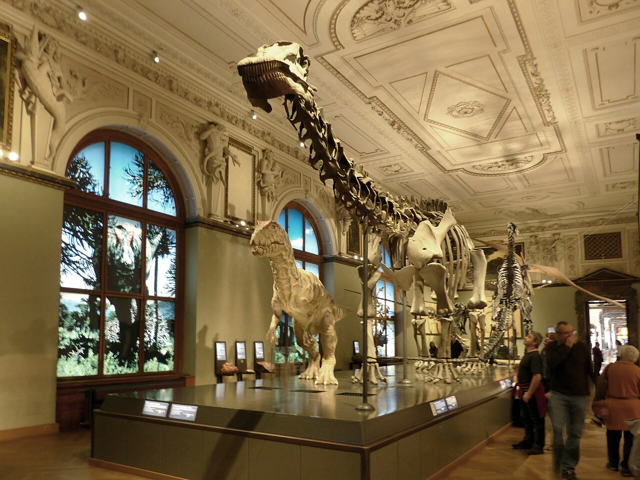 Dinosaurier im Naturhistorischen Museum Wien: Vom Diplodocus des Kaisers bis zum Saurier aus Muthmannsdorf