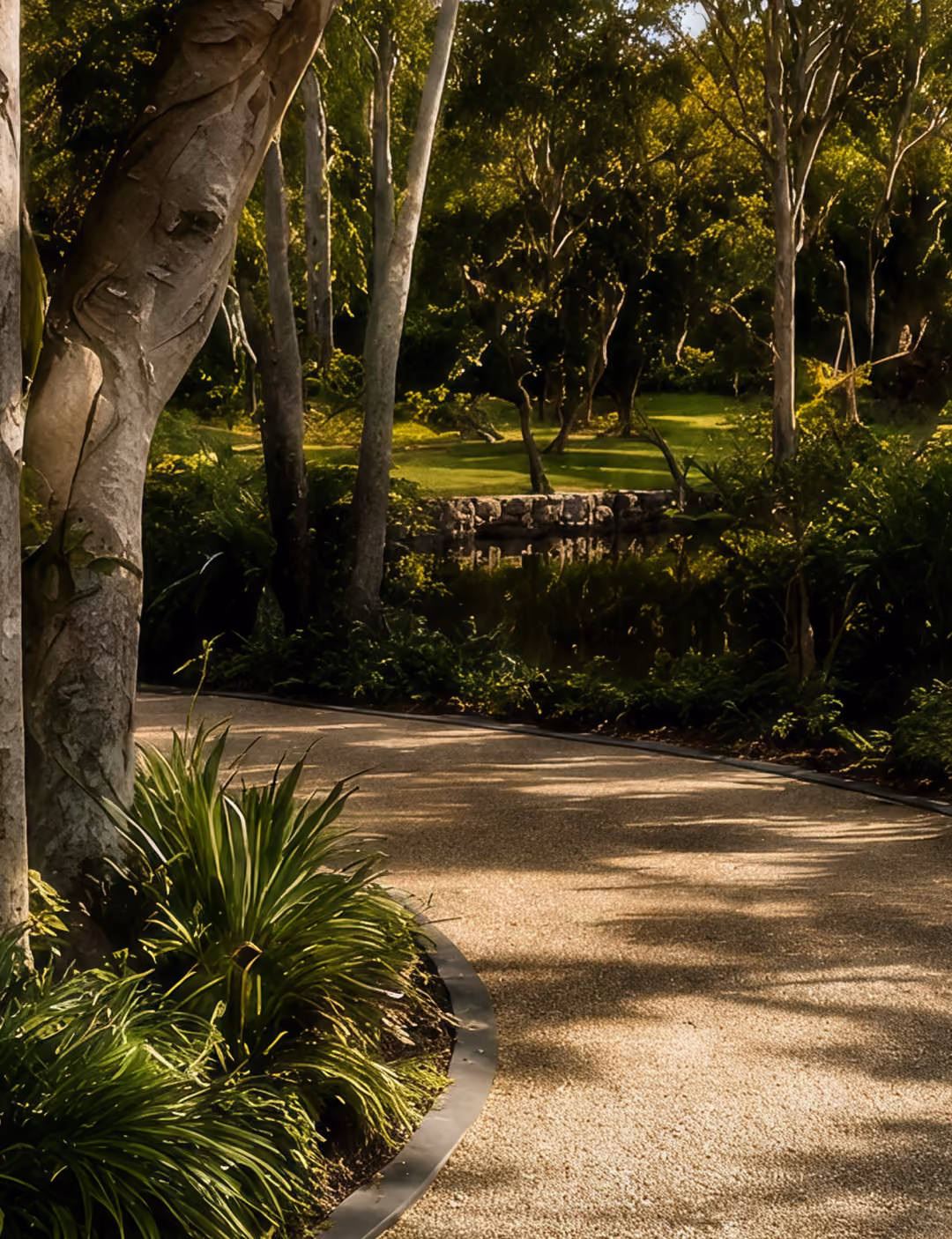 Curved paved pathway through a lush garden with tall trees, various green plants, and grass illuminated by soft sunlight.
