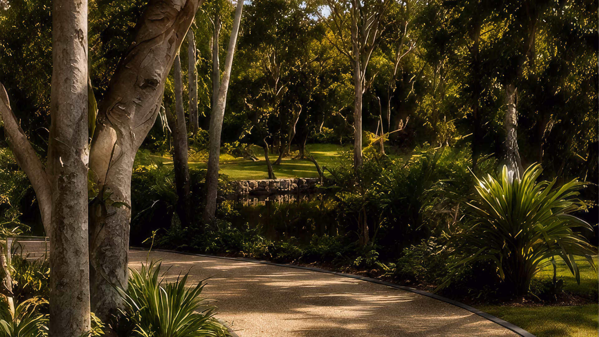 Curved paved pathway through a lush garden with tall trees, various green plants, and grass illuminated by soft sunlight.