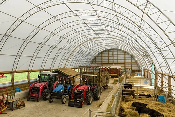 Indoor farm storage with three tractors parked on the left side and cattle resting on hay in fenced areas on the right under a large fabric hoop building with a curved white roof.
