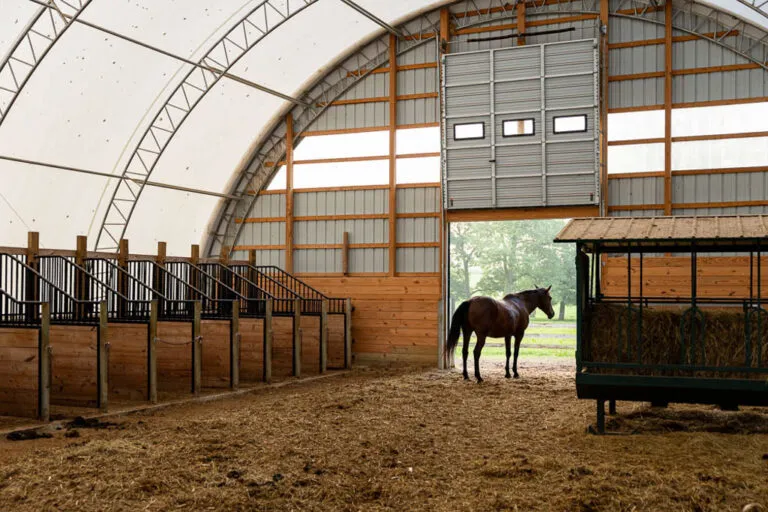 A horse stands near the open doorway of a spacious barn with empty stalls and a covered hay feeder inside.