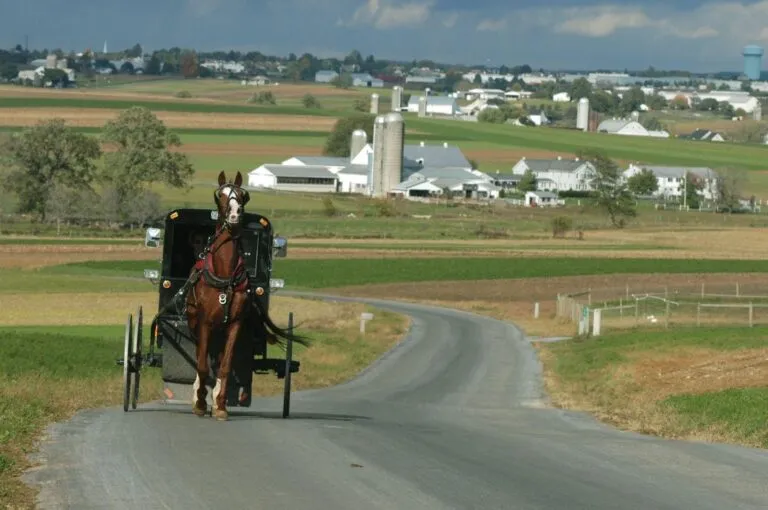 Amish horse and buggy in rural lancaster pa