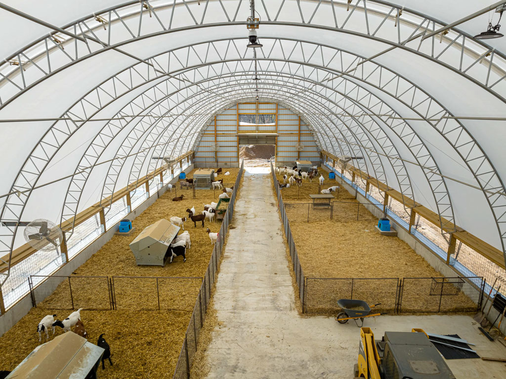 several small fenced enclosures with goats inside a thundura hoop building