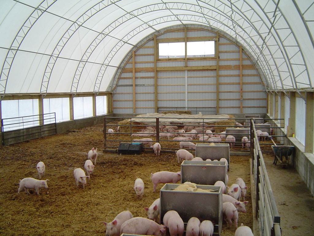 Thundura fabric structure used for raising pigs