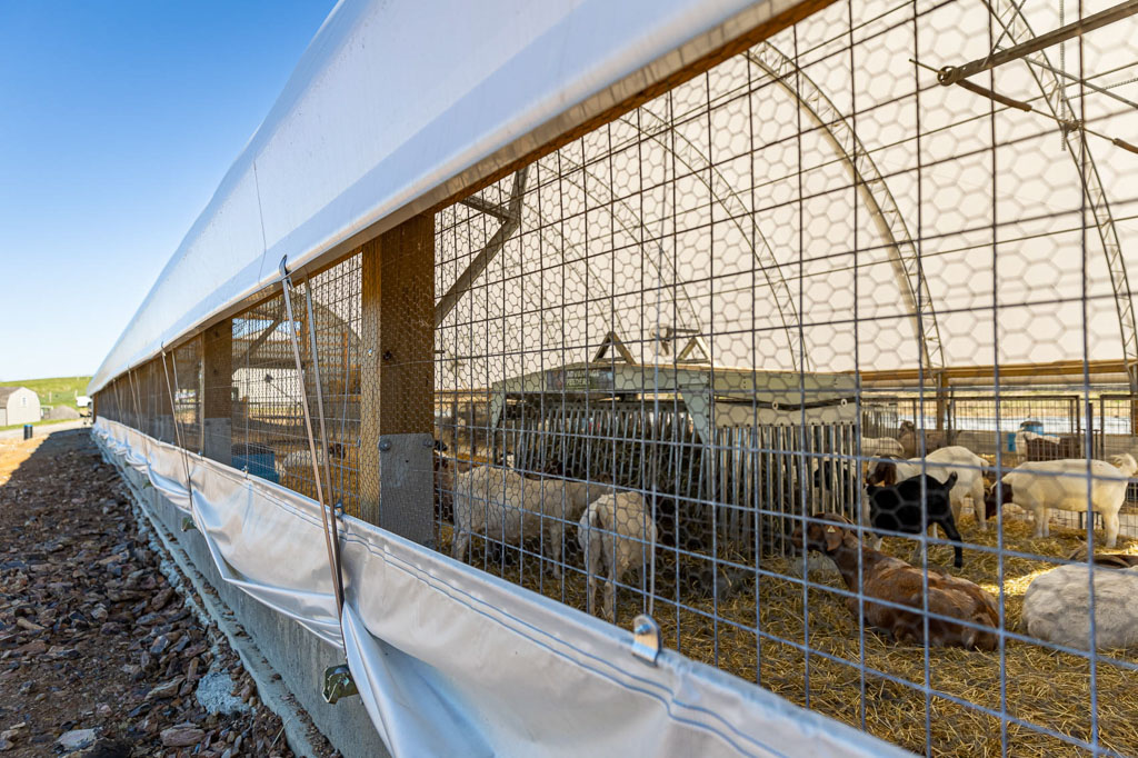 outside view looking inside a thundura fabric structure with goats feeding inside