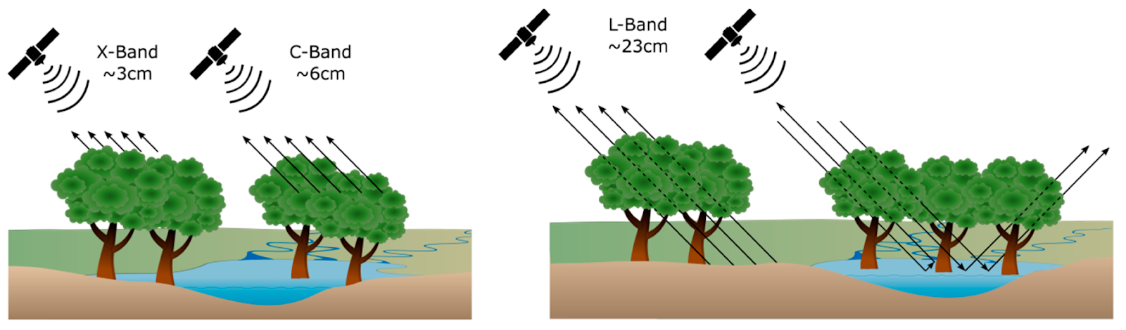 SAR penetration
