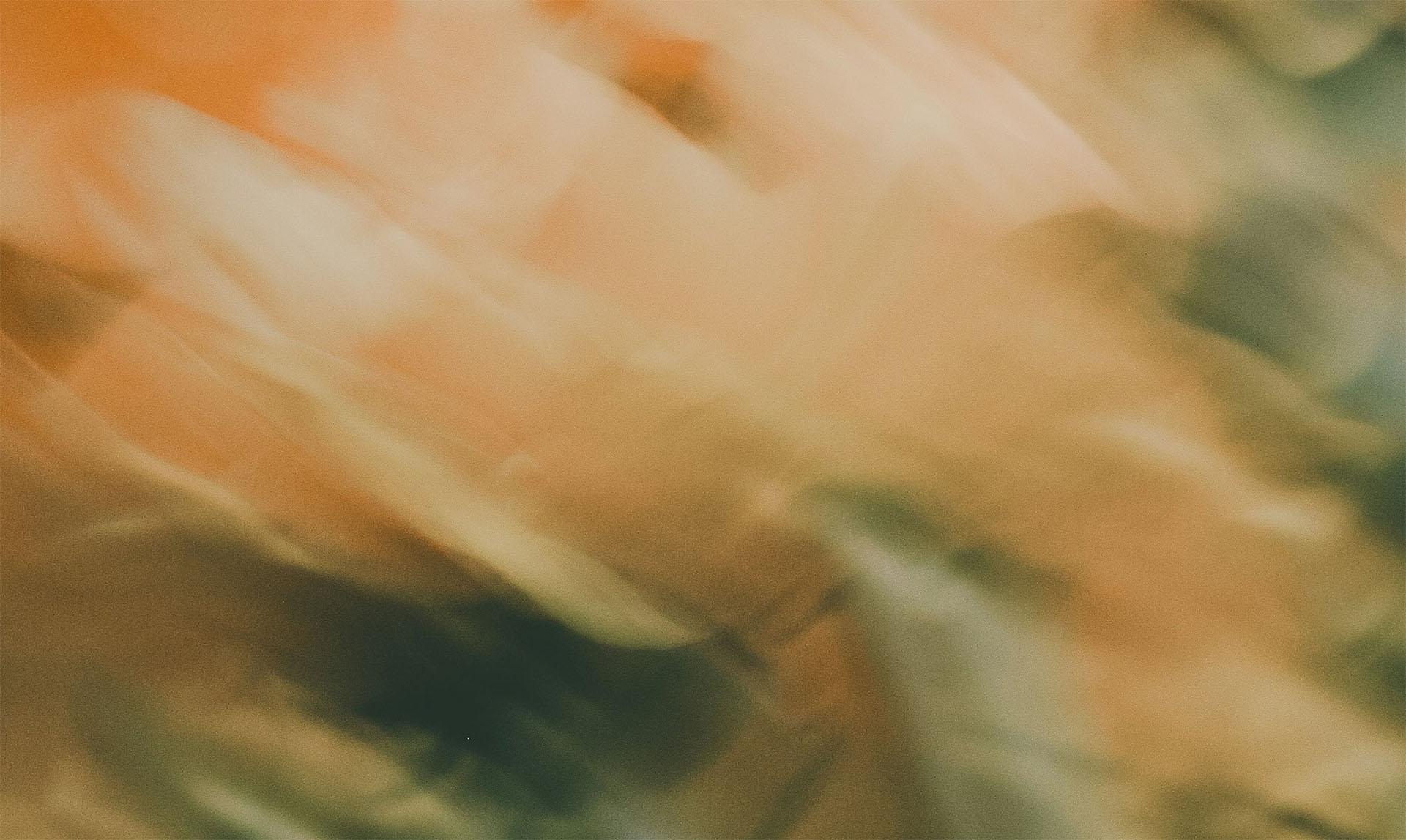 Blurred image of flowers in orange and green