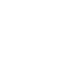 Service Details CTA Icon