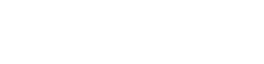 Punt & Partners automatisering