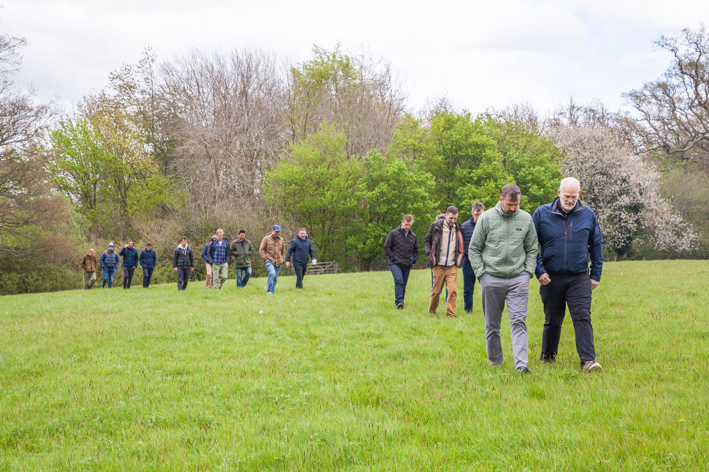 Monumental members walking an English field on retreat
