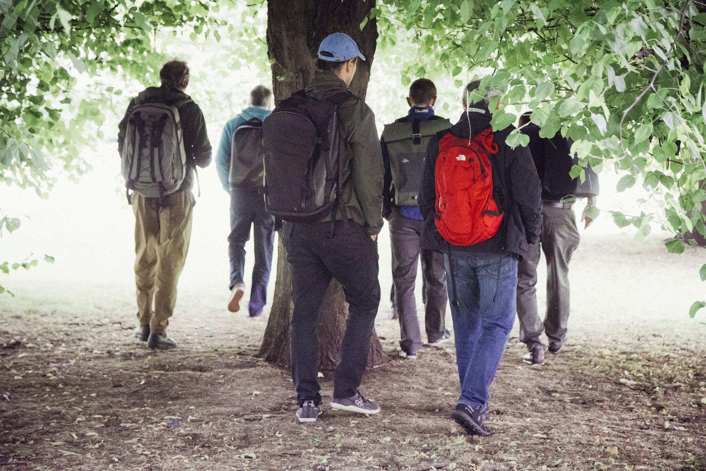 Monumental members walking under a tree canopy in Hyde Park