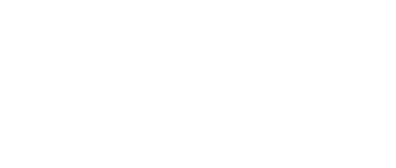 naga logo