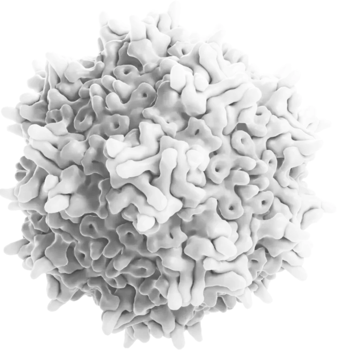 Virus