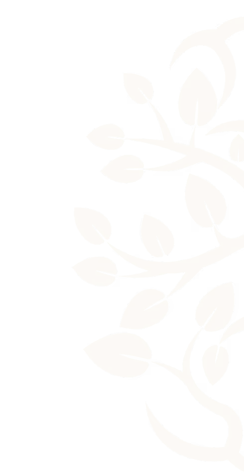 Beige leafy vine design on a transparent background, curling upward on the right side.