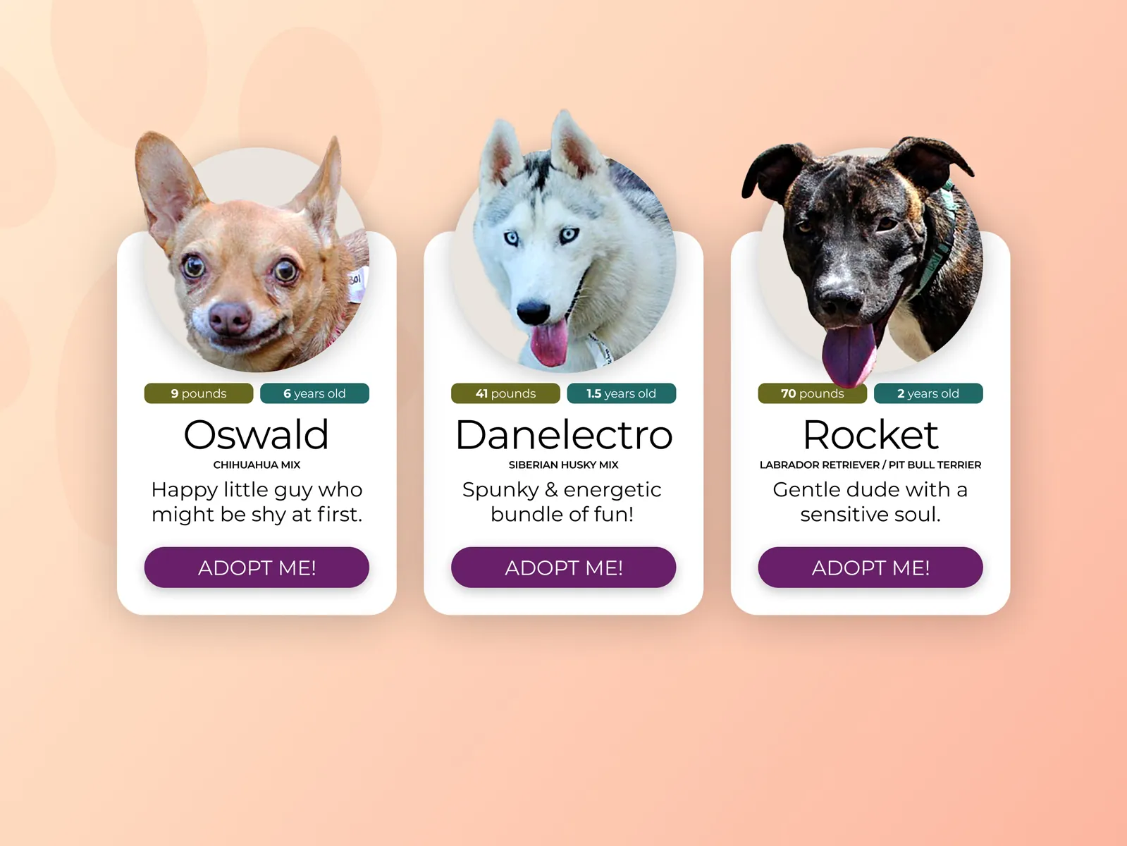Daily UI Challenge: Day 045 — Card