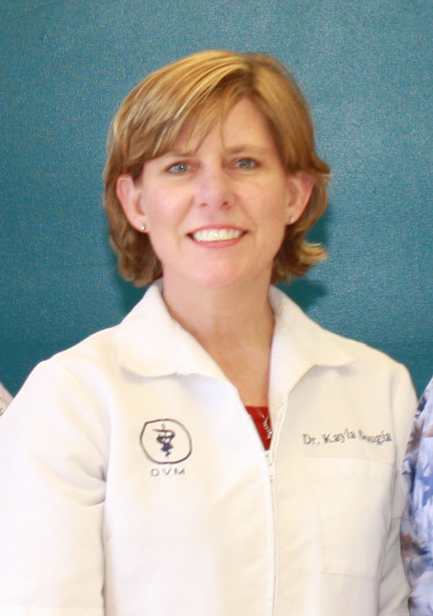 Doctor's Headshot