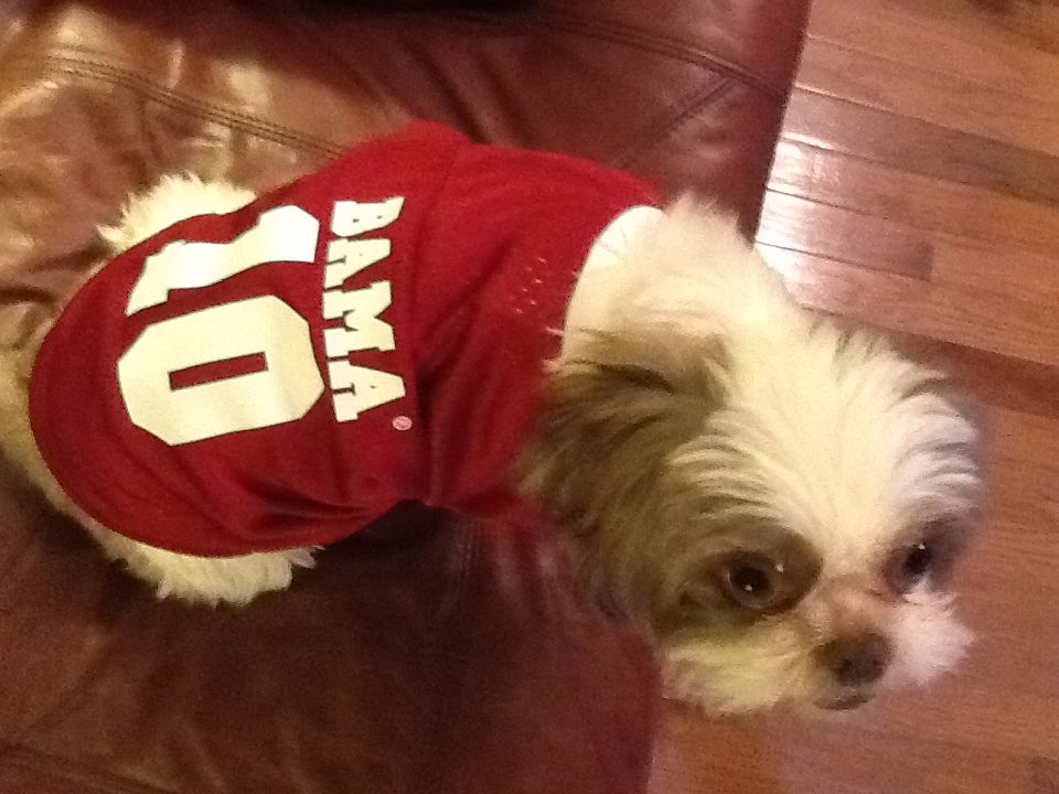 Krymson Tyde and Marvin ready to see Alabama, roll tide roll