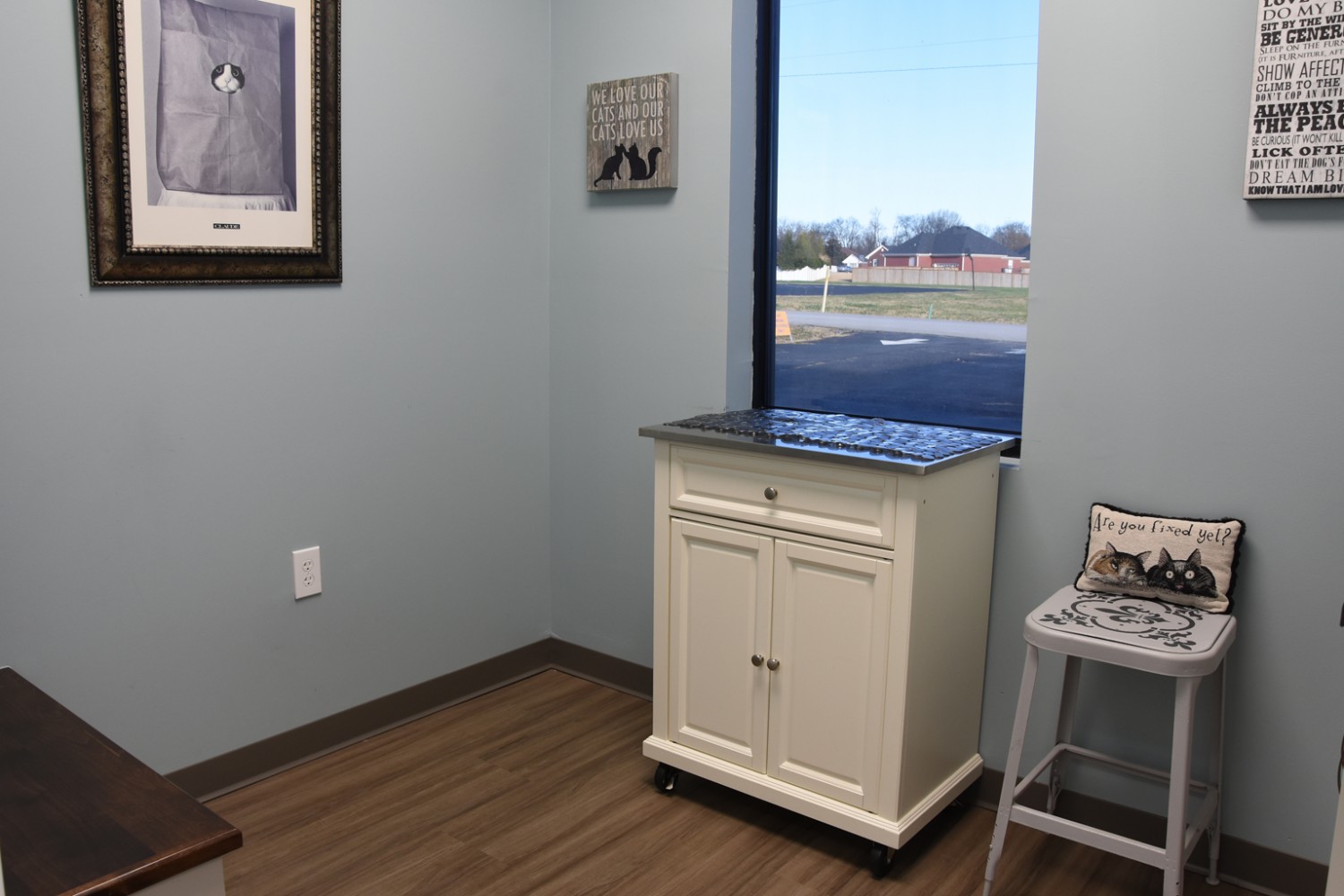 Cat exam room