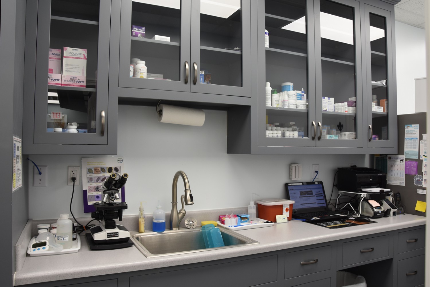 Lab area