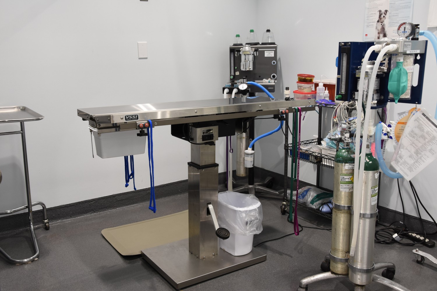 Surgical suite