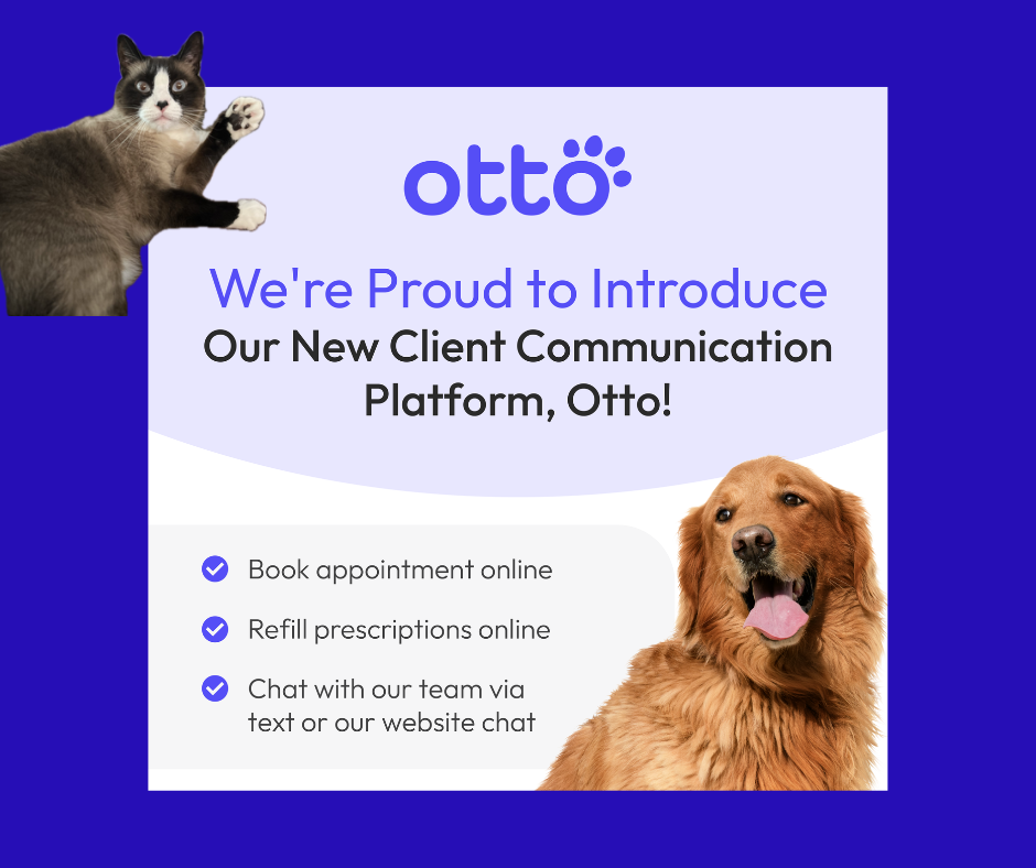 Otto client communication app - book appointments, refill prescriptions, and chat with our team