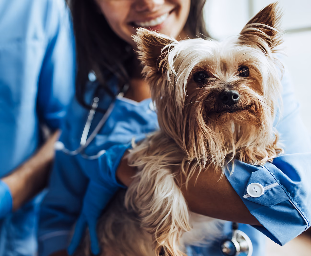 Dr. Caleb Alexander with dog