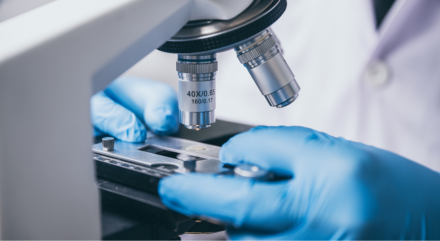 Microscope examination of cells