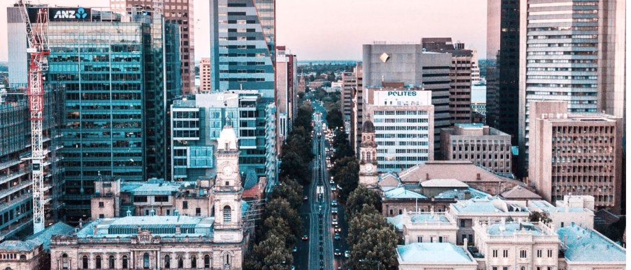 Aerial view looking down a tree-lined Adelaide street between CBD office towers, with a pink dusk sky behind