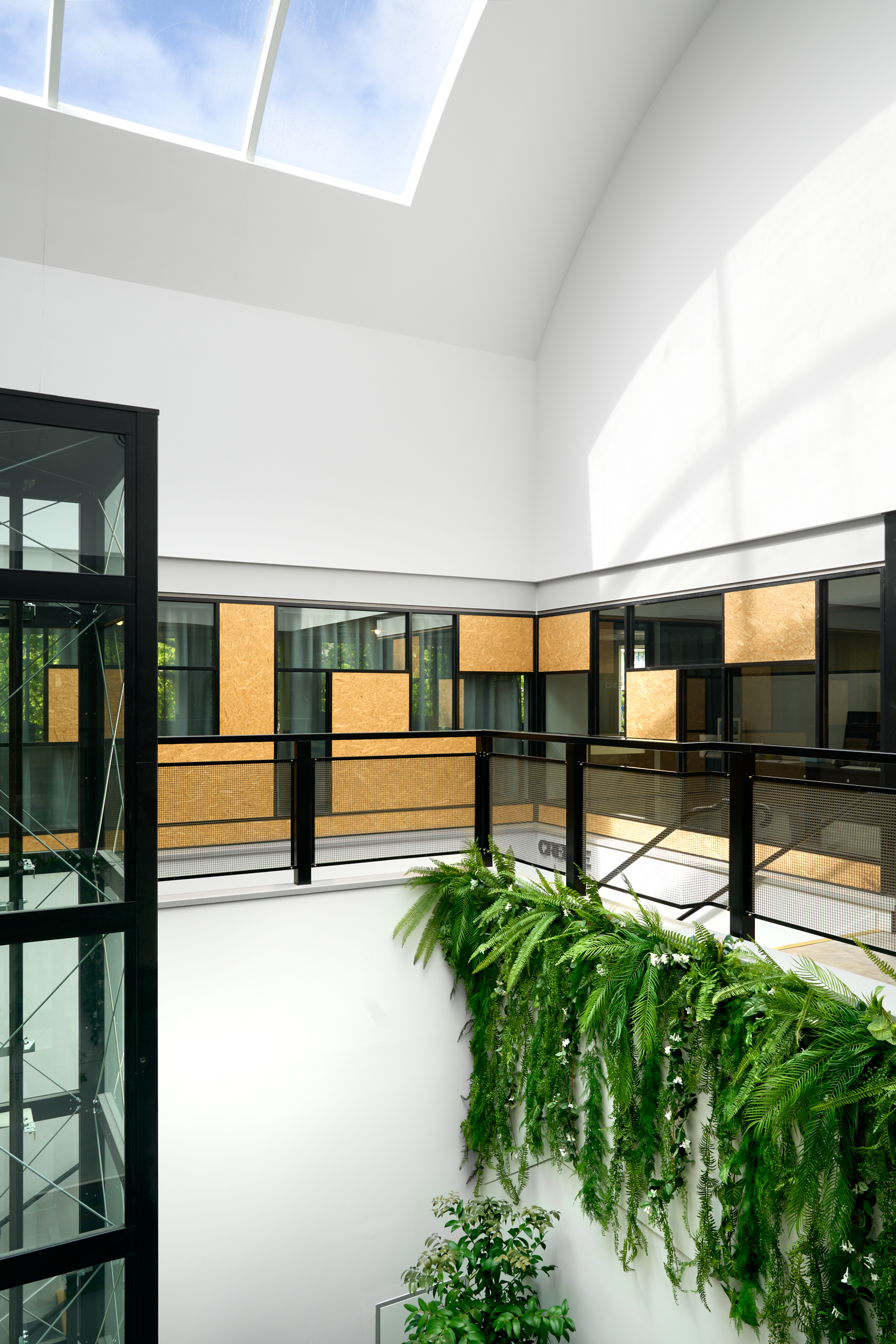 Modern interior space with a glass elevator shaft in the center, surrounded by a black metal railing and white walls; a person walks blurred to the right past office windows with cork-board panels, and green plants cascade over the white ledge below.