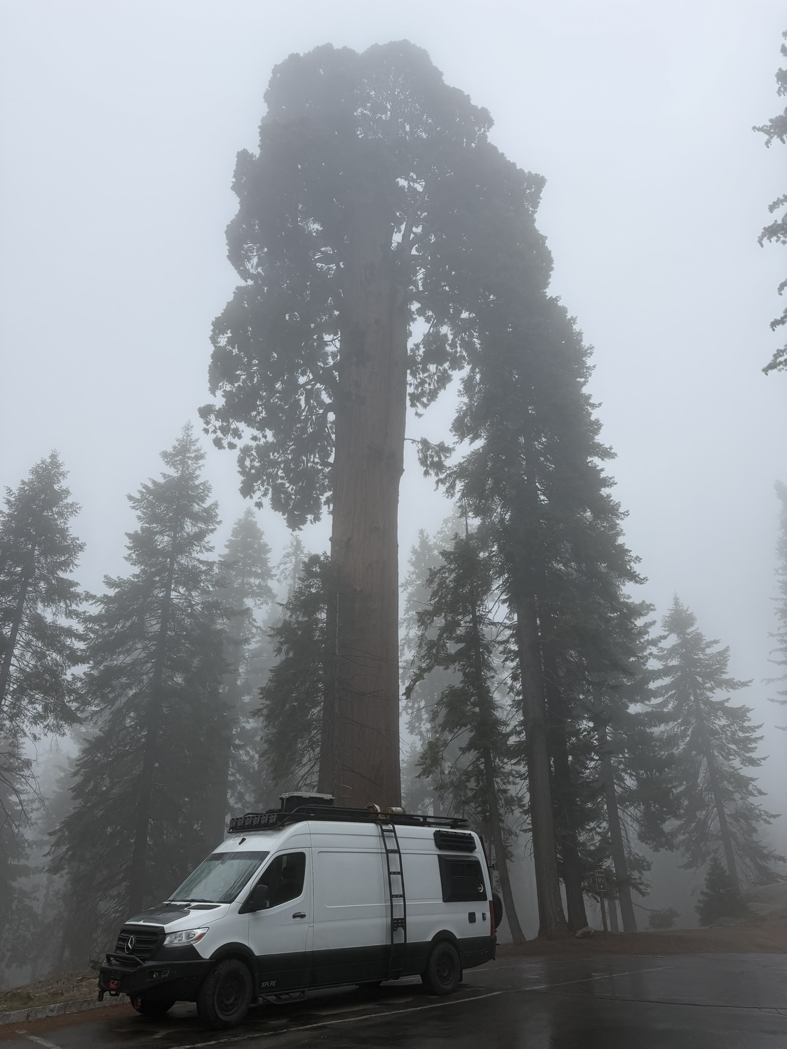 XPLRE van in Sequoia fog