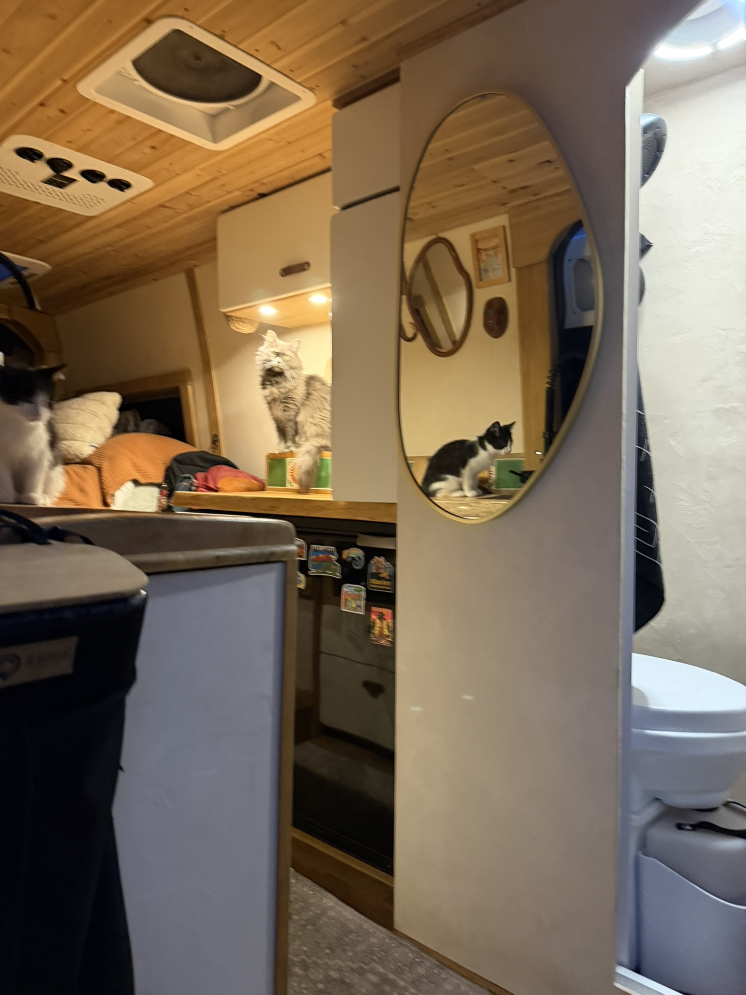 XPLRE full van interior