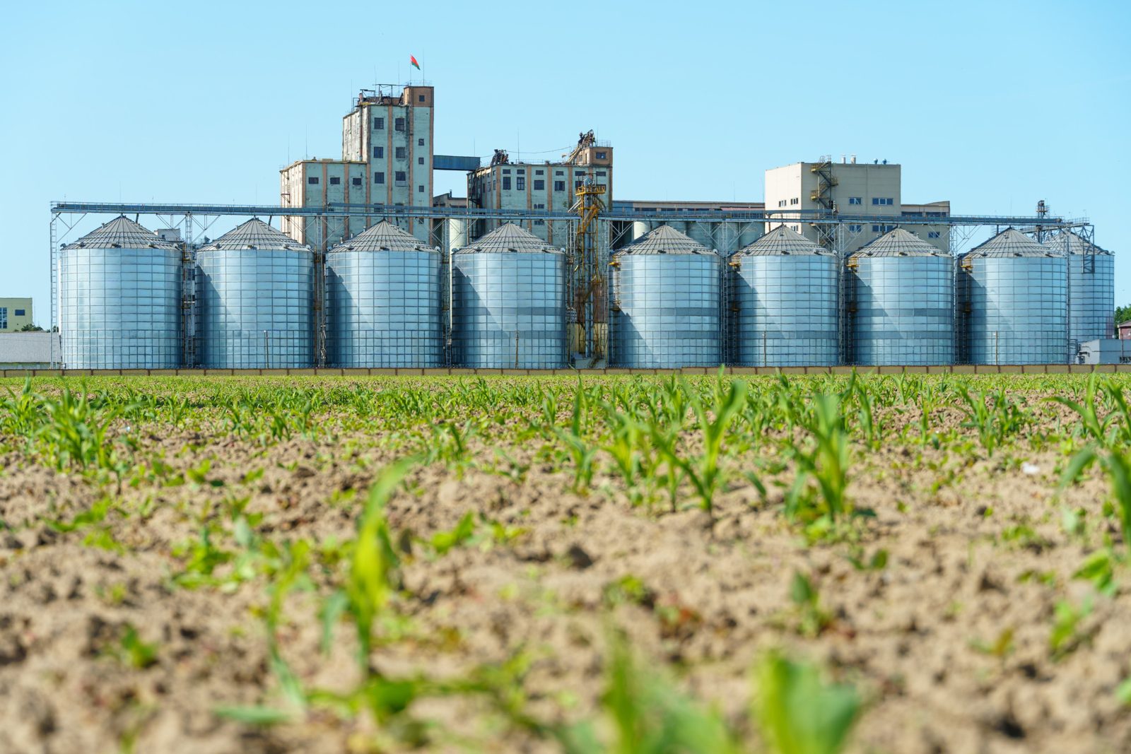 GSFC Vadodara fertiliser plant