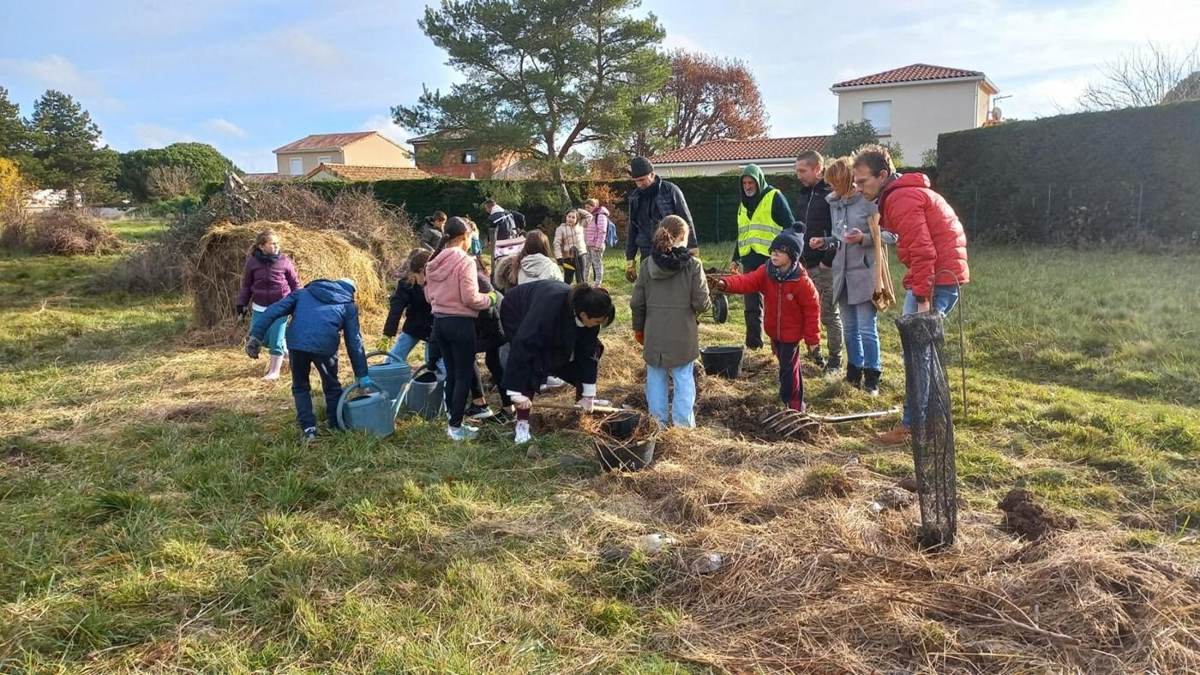 Classes en plantation sur les îlots