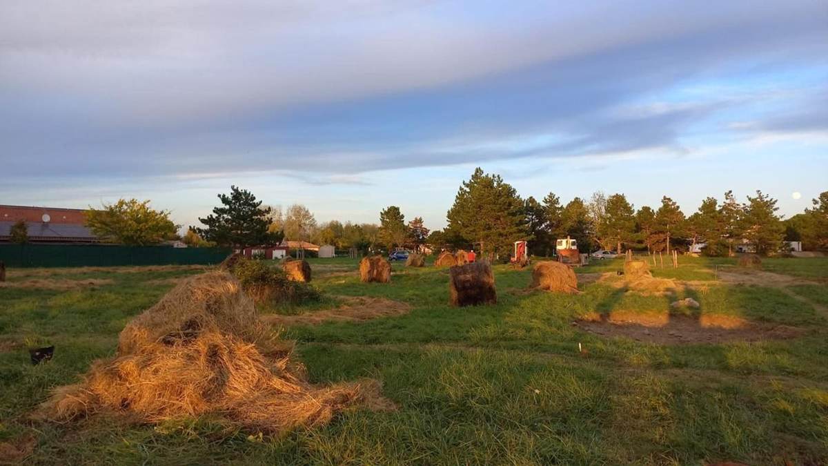 Bottes de foin déposées sur les îlots au coucher du soleil