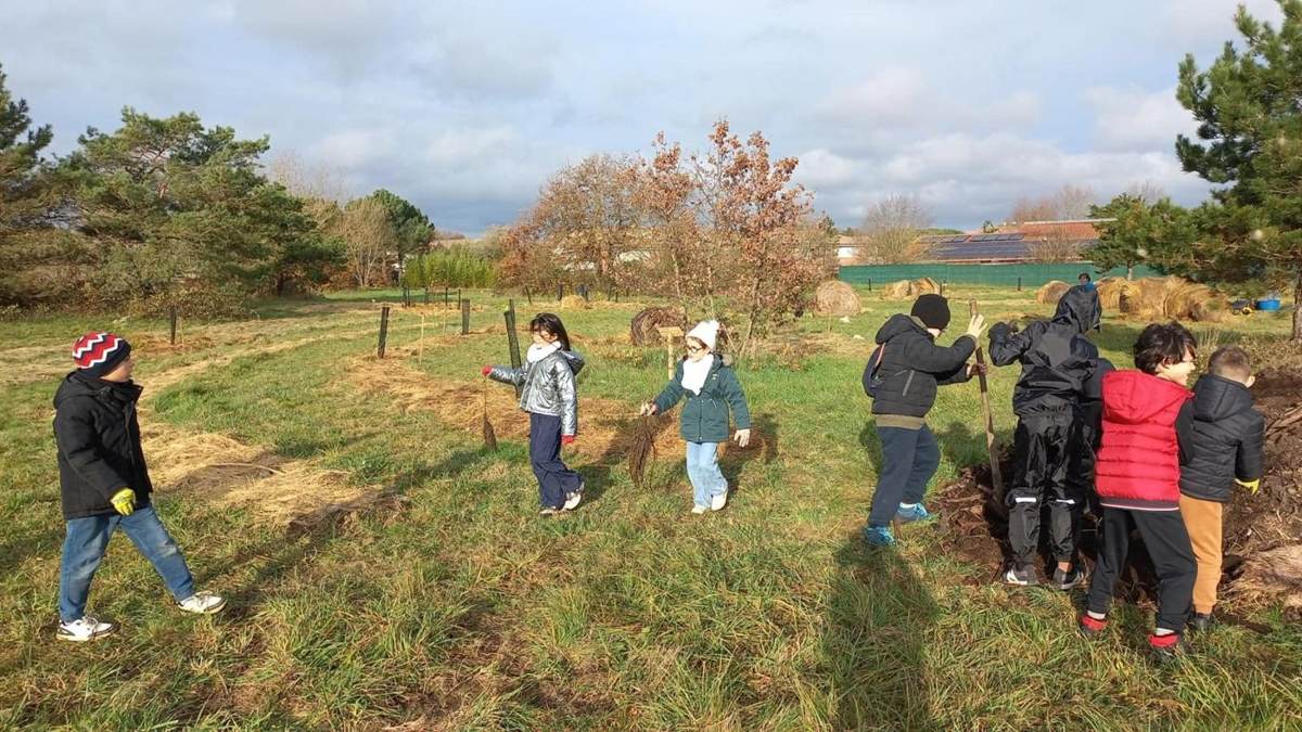 Visite du terrain avant le projet