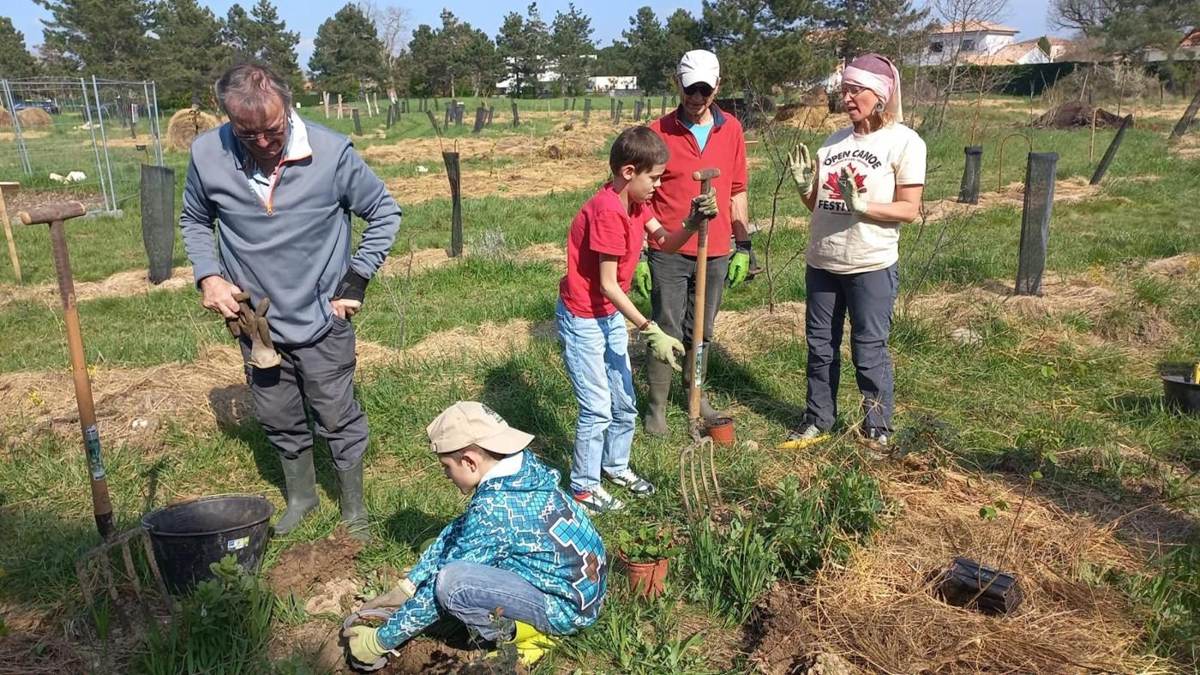 Des élèves plantent avec leurs enseignants