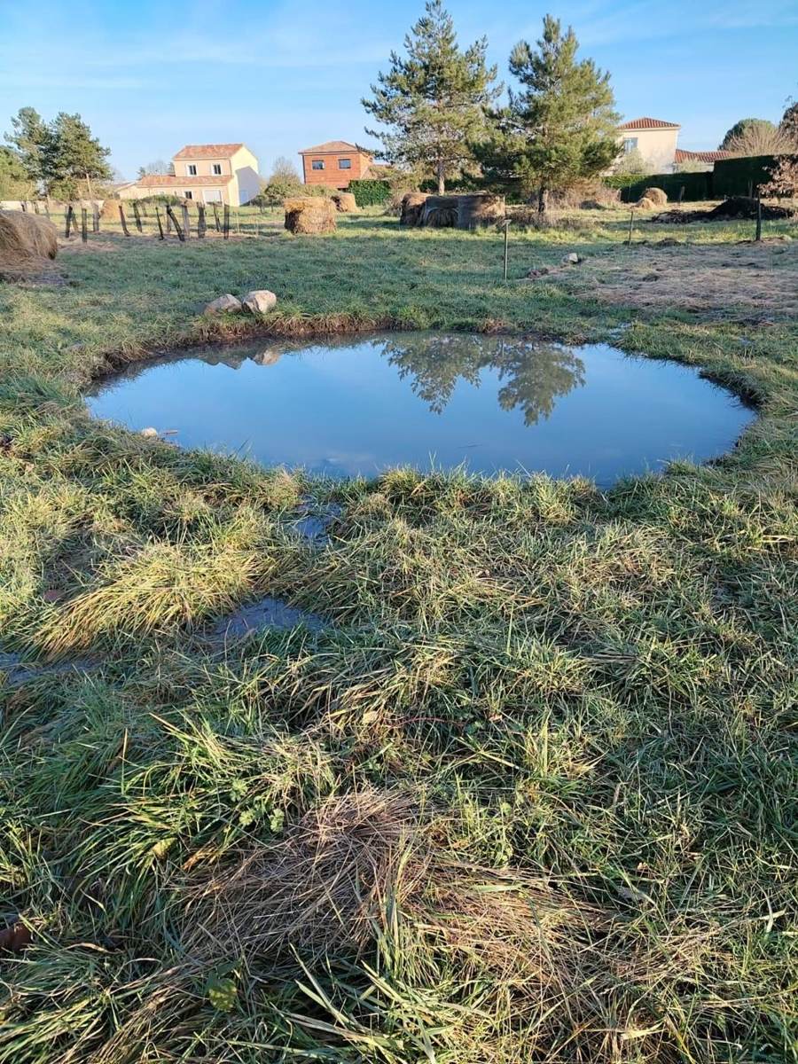 Mare creusée au cœur de la parcelle