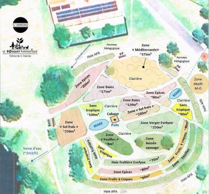 Plan d'implantation du site de plantation