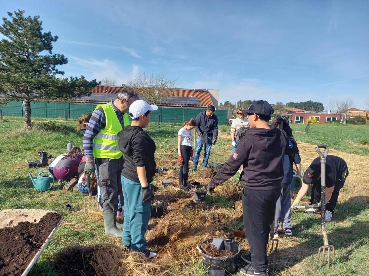 Une équipe d'adultes en demi-journée de plantation