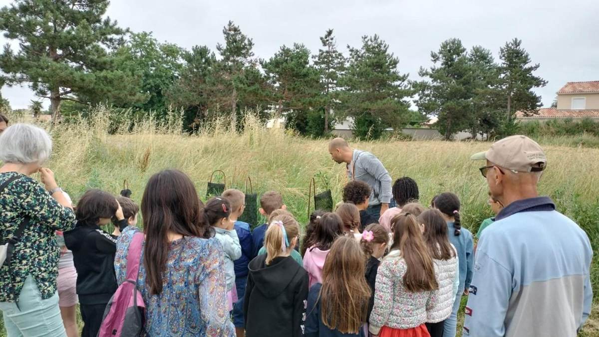 Enfants de dos écoutant les consignes