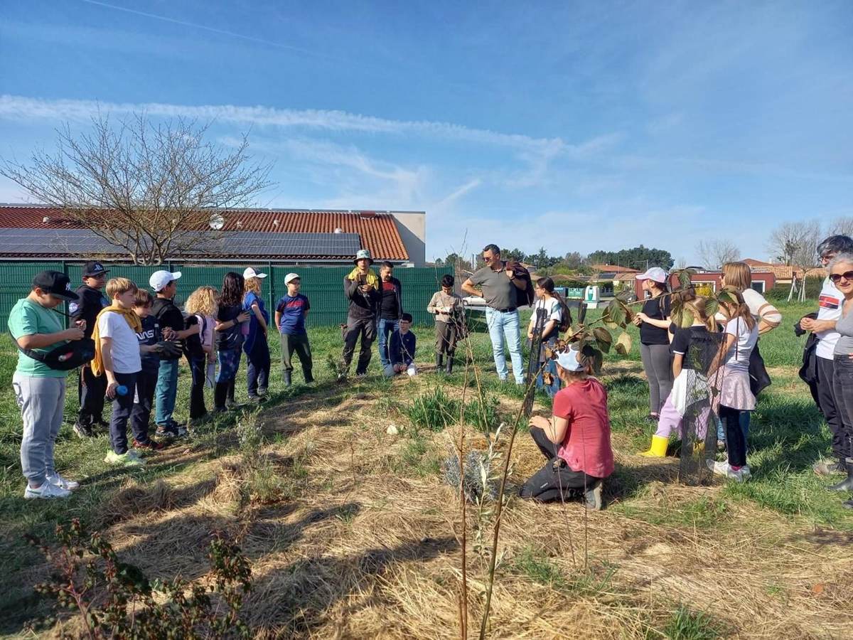 Classe en plantation, vue d'ensemble