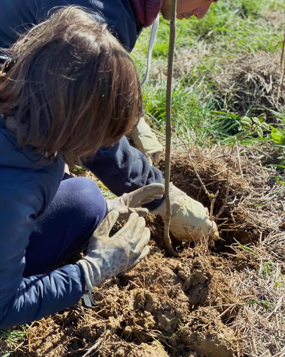 Mains d'enfant plantant dans le paillage
