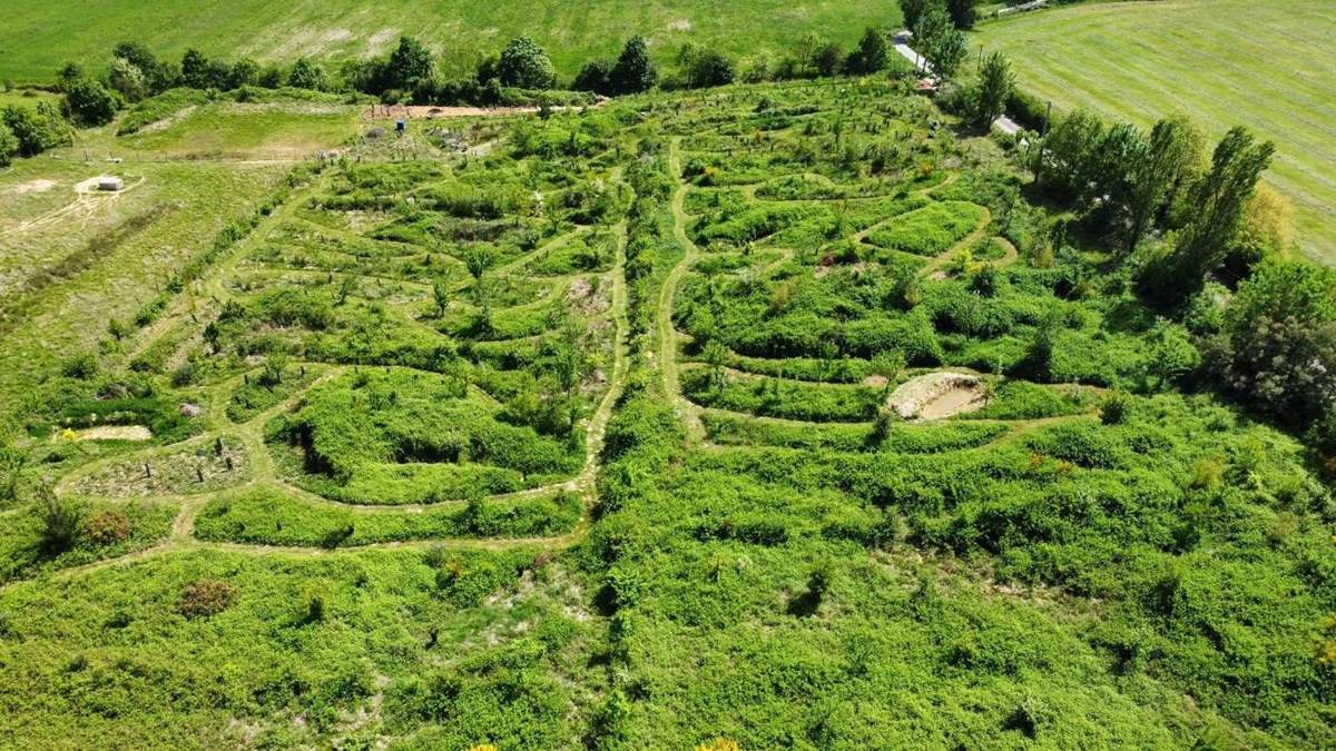 Vue aérienne de la forêt-jardin de L'Arbrerie, dense et verte