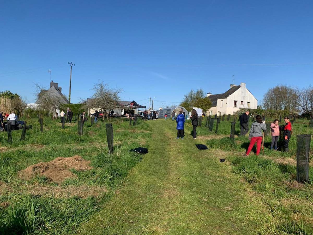 Allée plantée de la forêt-jardin de Tréméven, hameau breton en arrière-plan