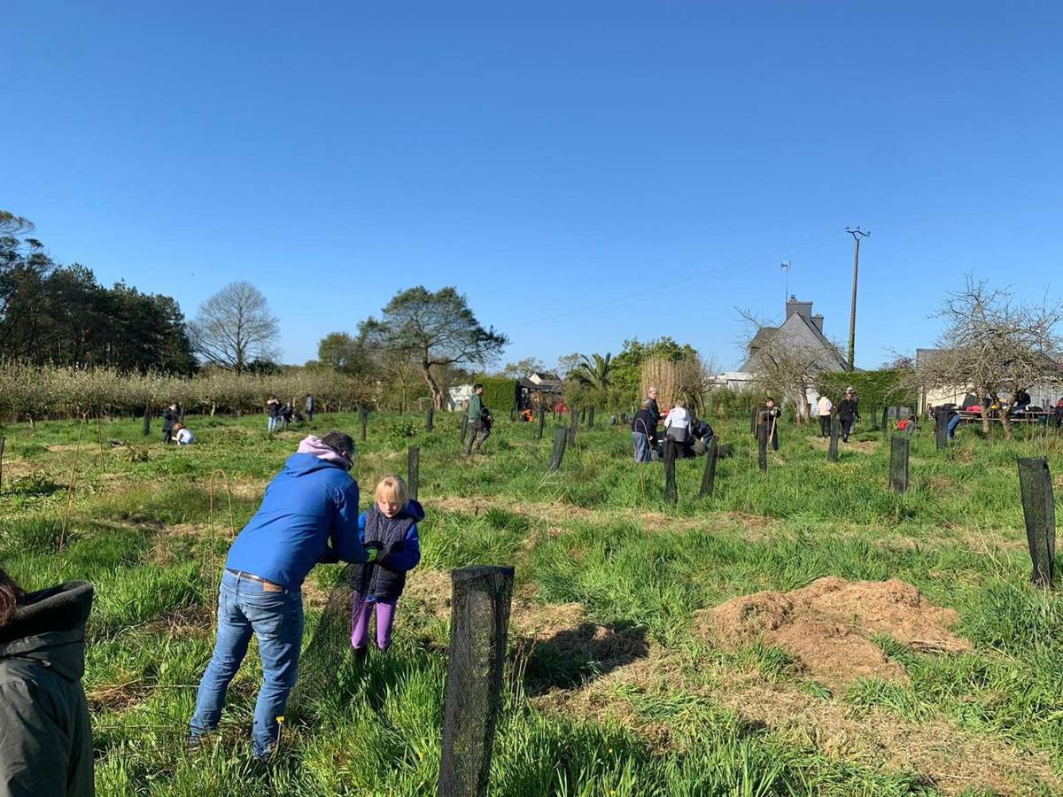 Plantation en famille