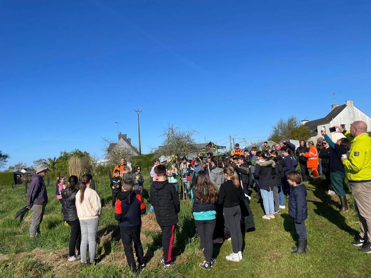 Foule des planteurs rassemblée sur la parcelle