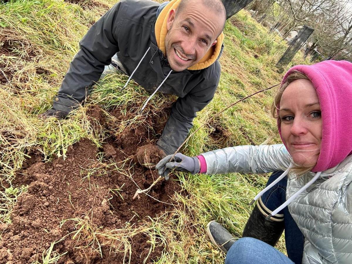 Deux bénévoles plantent un arbre en riant