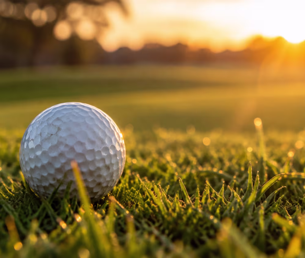 Single golf ball resting on green grass at golden-hour sunset